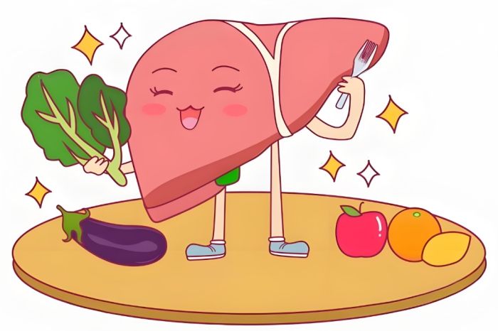 脂肪肝治療 脂肪肝治療